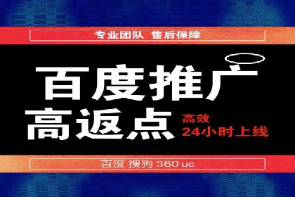 百度推广成功案例分析