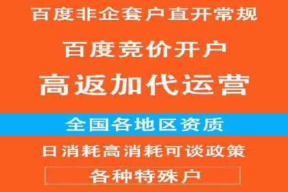 百度搜索推广实战经验：经典案例剖析